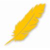 Feather Tribal Nursery Baby Bird - Vinyl Decal Sticker - CHOOSE Size & Color