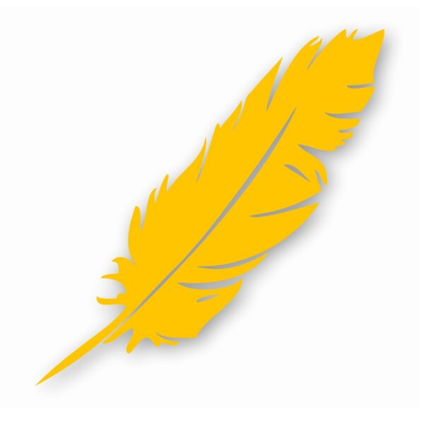 Feather Tribal Nursery Baby Bird - Vinyl Decal Sticker - CHOOSE Size & Color