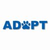 ADOPT A Pet Paw Rescue - Vinyl Decal Sticker - CHOOSE Size & Color