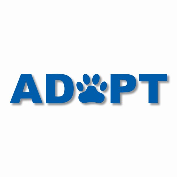 ADOPT A Pet Paw Rescue - Vinyl Decal Sticker - CHOOSE Size & Color