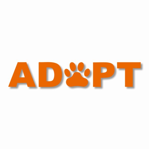 ADOPT A Pet Paw Rescue - Vinyl Decal Sticker - CHOOSE Size & Color