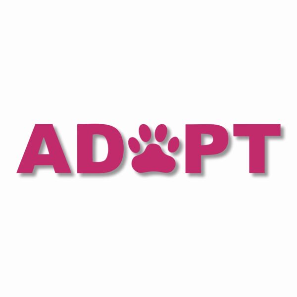 ADOPT A Pet Paw Rescue - Vinyl Decal Sticker - CHOOSE Size & Color