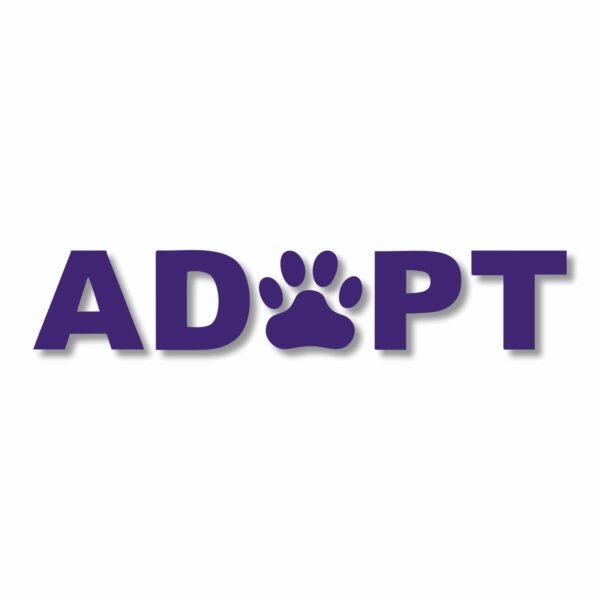 ADOPT A Pet Paw Rescue - Vinyl Decal Sticker - CHOOSE Size & Color