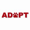 ADOPT A Pet Paw Rescue - Vinyl Decal Sticker - CHOOSE Size & Color