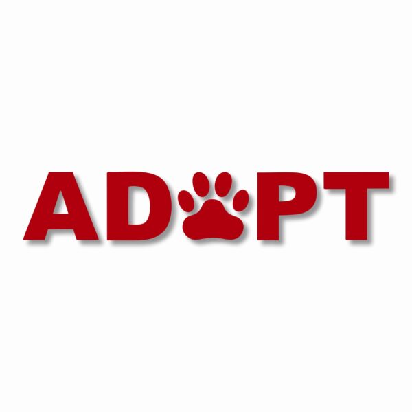 ADOPT A Pet Paw Rescue - Vinyl Decal Sticker - CHOOSE Size & Color
