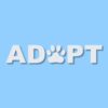 ADOPT A Pet Paw Rescue - Vinyl Decal Sticker - CHOOSE Size & Color