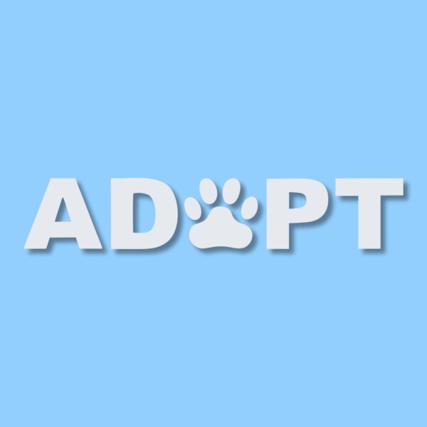 ADOPT A Pet Paw Rescue - Vinyl Decal Sticker - CHOOSE Size & Color