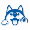 Husky Peeking Dog Wave - Vinyl Decal Sticker - CHOOSE Size & Color